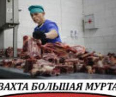 Расфасовщик субпродуктов